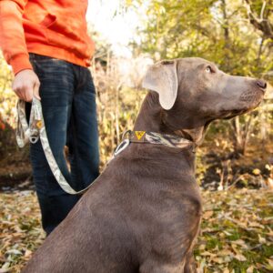 Browning Dog Leashes, Durable, Classic Webbing Pet Leash with Reflective Stitching, Ovix Camo, One Size