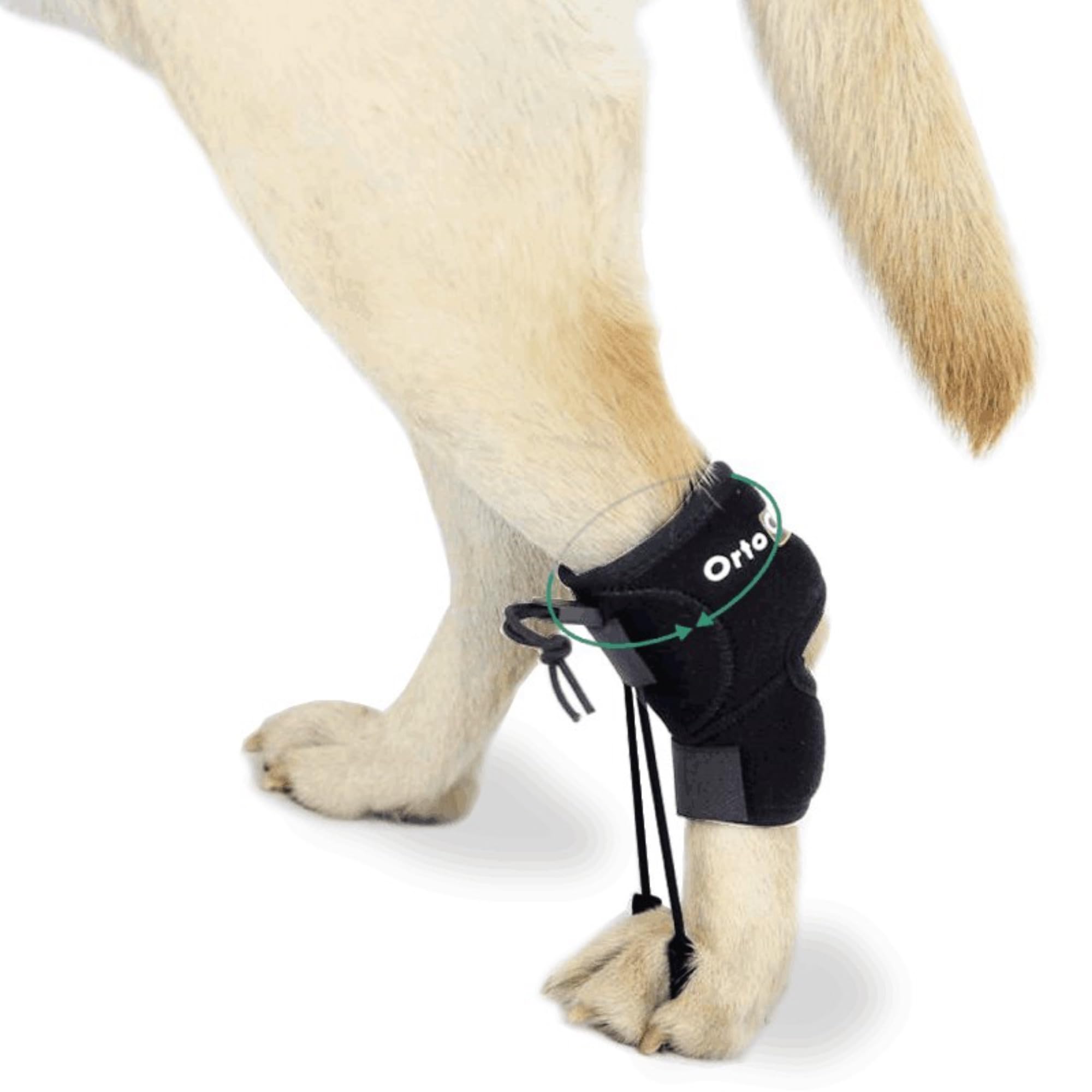 Ortocanis - Proprioceptive Corrector for Dogs with Sciatic Nerve Injuries. Myelopathy and Spinal Injuries. Size M