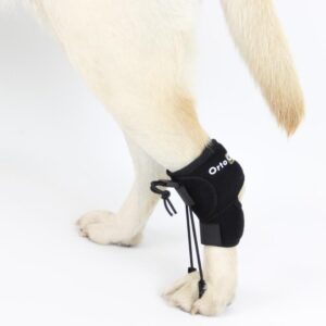 Ortocanis - Proprioceptive Corrector for Dogs with Sciatic Nerve Injuries. Myelopathy and Spinal Injuries. Size M