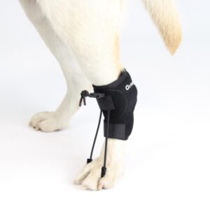 Ortocanis - Proprioceptive Corrector for Dogs with Sciatic Nerve Injuries. Myelopathy and Spinal Injuries. Size M