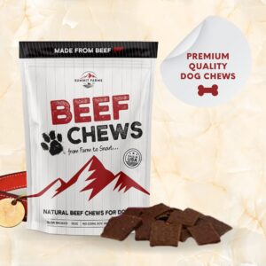 SUMMIT FARMS Beef Jerky Square Dog Treats 15 Oz Pack All-American Slow Roasted Beef Training Treats for Dogs - Healthy & Delicious Beef Jerky Dog Treats - A Must-Have Reward Snack for Dogs