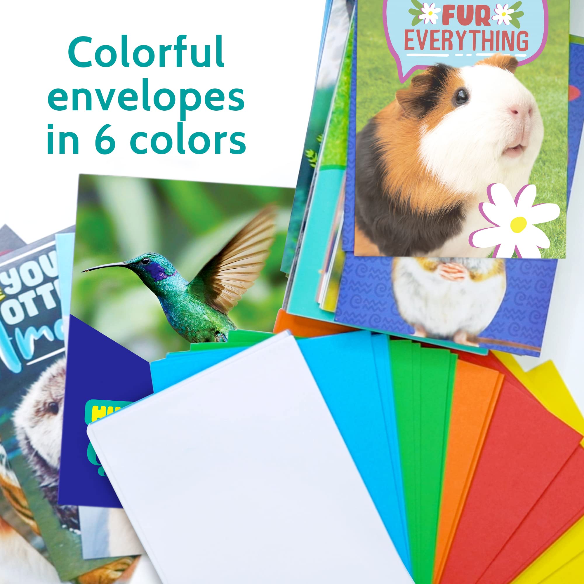 T MARIE 48 Funny Thank You Cards with Colorful Envelopes and Gold Stickers - Bulk 4x6” Boxed Set for Employee Appreciation Cards, Kids, Friends, Staff and Customers - Cute Animal Designs