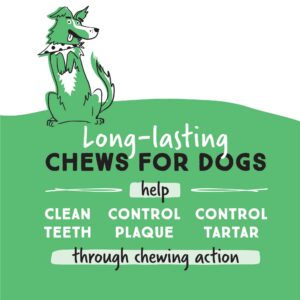 Ultra Chewy Denta-Mint Minis Value Pack Dental Dog Treats. Made in The USA, Healthy Treats, Easy to Digest, Promotes Dental Health - 20 Oz