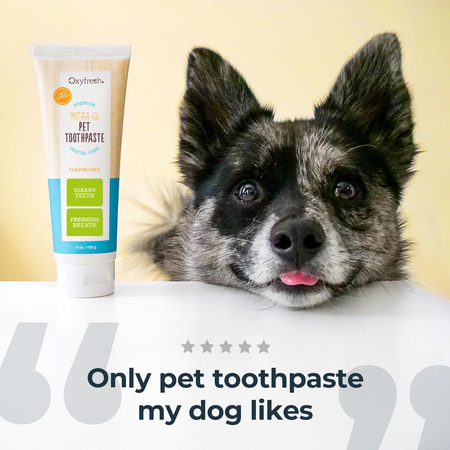 Oxyfresh Premium Dog Toothpaste and Toothbrush – Best Dog Teeth Cleaning & Dog Plaque and Tartar Fighter – Safe for Cat Toothpaste Too – Vet Formulated (4oz Pet Toothpaste + Large Finger Brush)