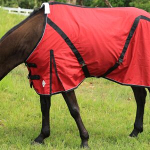 T TEKE Deluxe Horse Canvas Sheet for Snug and Clean in Stable, or as a Blanket Liner. (Size Range 51"-87" Including Mini Horse)