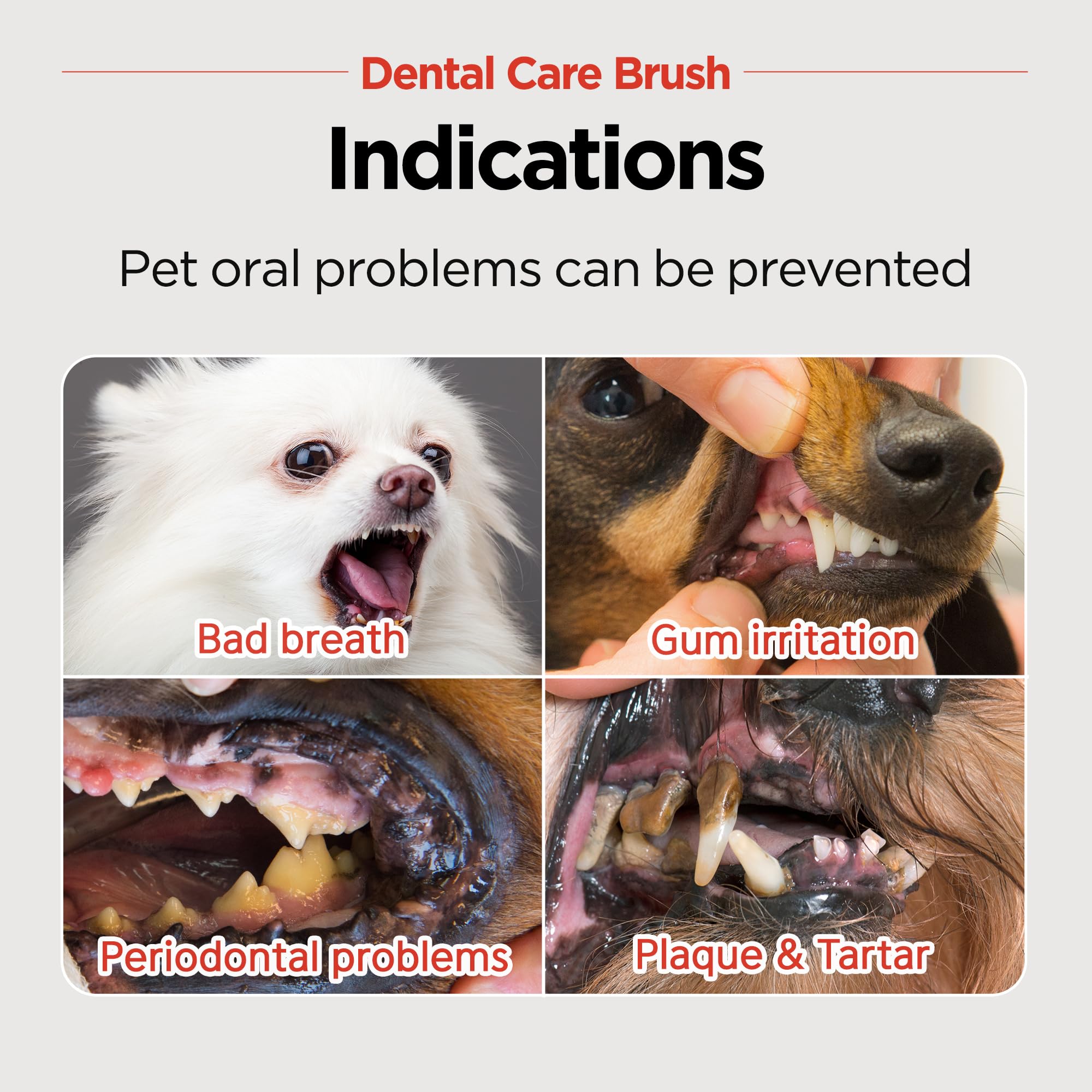 JAYU PET Dental Care Brush (Soft Bristles) 3ea - Toothbrush for Small Dog and Cat with Horizontal Head & Easy Grip Handle