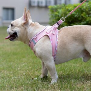 Mercano Soft Mesh Dog Harness and Leash Set, No-Chock Step-in Reflective Breathable Lightweight Easy Walk Escape Proof Vest Harnesses with Safety Buckle for Small Medium Dogs, Cats (Pink, S)