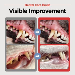 JAYU PET Dental Care Brush (Soft Bristles) 3ea - Toothbrush for Small Dog and Cat with Horizontal Head & Easy Grip Handle