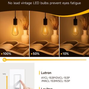 UNILAMP Dimmable LED Edison Bulb, ST64 E26 Base Lighting Vintage LED Bulbs, 6W Vintage LED Light Bulb(60W Equivalent), 600lm, 2200K Amber Warm, High Brightness Amber Glass (2 Packs)