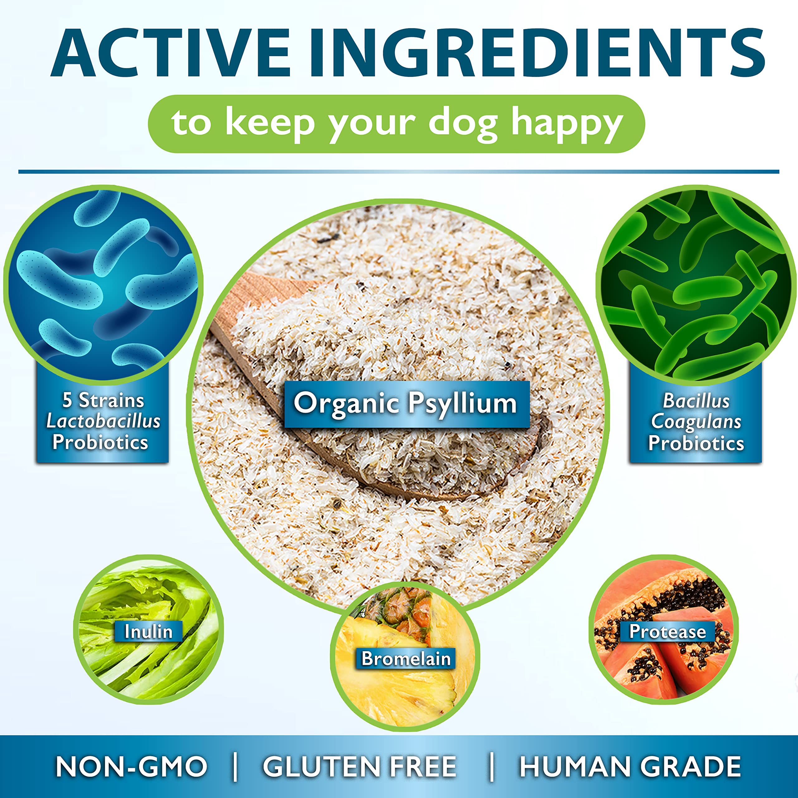 Nutrition Strength Psyllium for Dogs Complex to Promote Your Pet's Gut Health, Stimulate Healthy Digestion, Support Normal Bowel Function, with Psyllium + Inulin, Bromelain & Protease, 90 Soft Chews