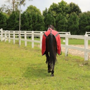 T TEKE Deluxe Horse Canvas Sheet for Snug and Clean in Stable, or as a Blanket Liner. (Size Range 51"-87" Including Mini Horse)