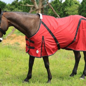 T TEKE Deluxe Horse Canvas Sheet for Snug and Clean in Stable, or as a Blanket Liner. (Size Range 51"-87" Including Mini Horse)