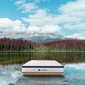 FLEXPEDIC Deep Sleep Twin Mattress 10 Inch Hybrid Premium Pillow Top | Indulge in Luxurious Comfort with Pocket Innerspring System | Made in USA | CertiPUR-US & Oeko-TEX Certified | Delivery in a Box