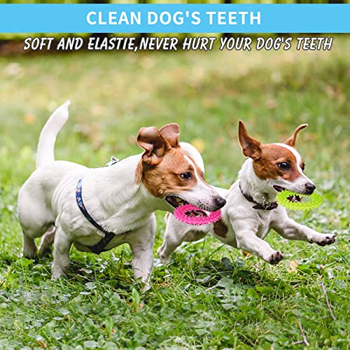 cobee Puppy Teething Chew Toys, 3 Packs Small Dog Puppy Toy Ring 360° Clean Pet Teeth and Soothe Itching Rubber Dog Chew Toy Oral Health Puppy Interactive Chew Toys