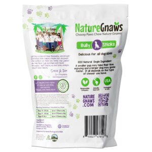 Nature Gnaws Bully Sticks for Dogs (1.3Lb)- Premium Natural Beef Dental Bones - Long Lasting Dog Chew Treats for Aggressive Chewers - Rawhide Free