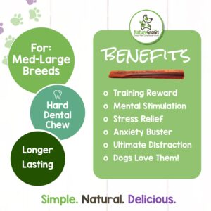 Nature Gnaws Bully Sticks for Dogs (1.3Lb)- Premium Natural Beef Dental Bones - Long Lasting Dog Chew Treats for Aggressive Chewers - Rawhide Free