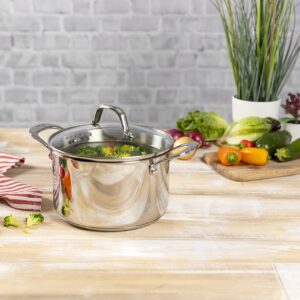 KUHN RIKON Allround Plus Stainless Steel Cooking Pot 3.7 L Diameter 20 cm