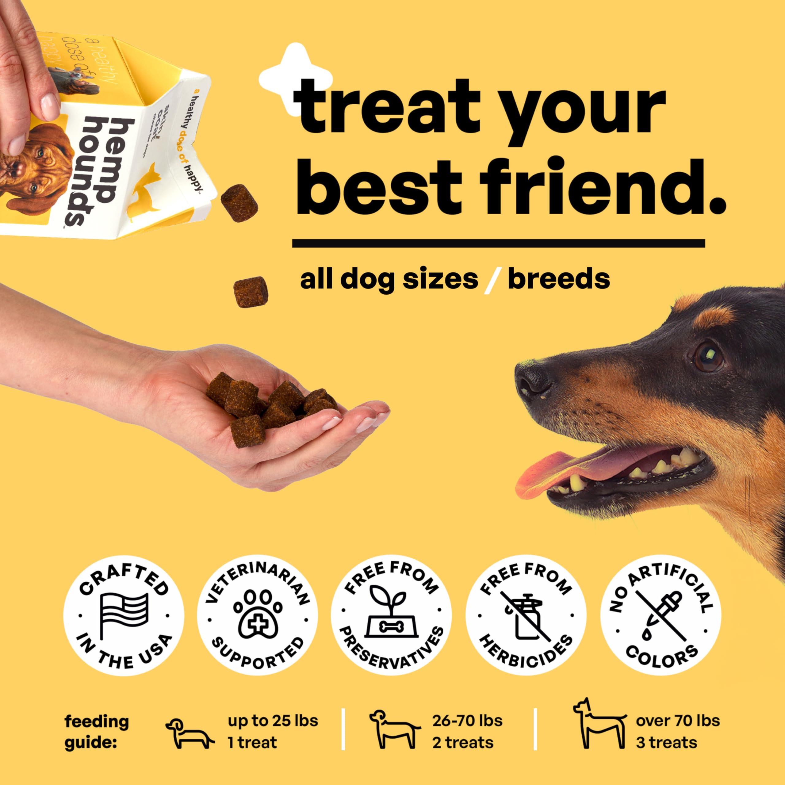 Hemp Hounds - Adaptogenic Skin and Coat Chews for Dogs - 90 Chews - Nutrient Rich Dog Allergy Relief - Omega 3-6-9 - Norwegian Salmon Oil - Collagen - Turmeric - Beef Flavor - Dog Itch Relief