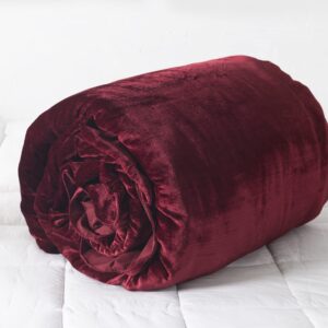 Madhu International Wine Red Velvet Duvet Cover - Made of Premium Rayon Velvet - Twin Size Duvet and Pillow Cover Set of 3 - Luxury Boho Bedding - UO Comforter Cover Quilt - 68 inches x 90 inch