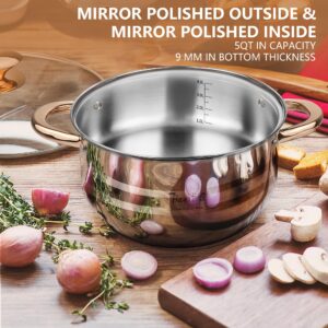 BAERFO 5 Quart Stock Pot, 18/8 Stainless Steel Stock Pot with Lid, 5 QT Healthy stainless steel pot, Induction, Oven,Gas and Dishwasher Safe soup Pot