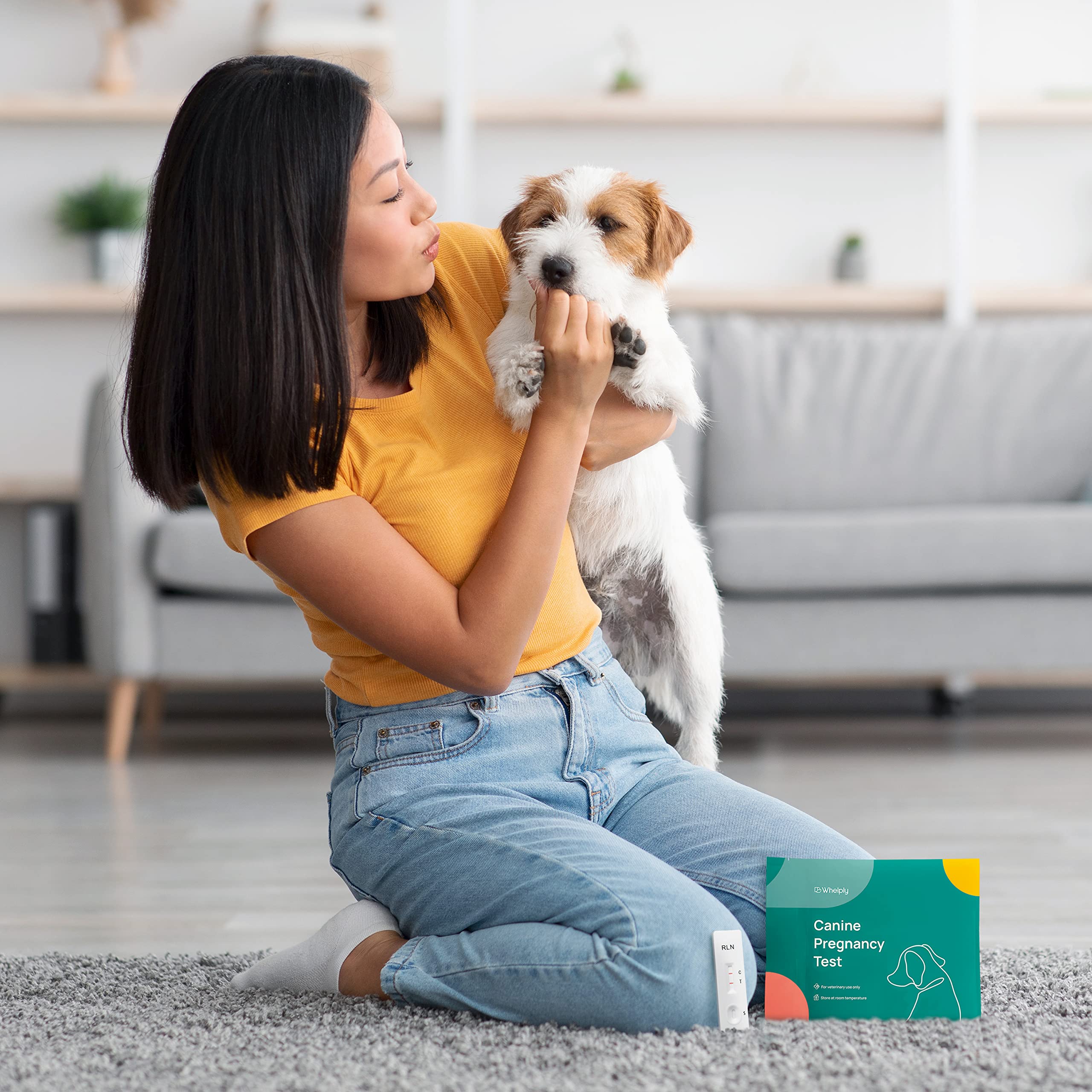 Dog Pregnancy Test for Breeders - Accurate Results and Clear Instructions - Blood Test with Additional Requirements, Check Product Details Before Purchase - at Home Canine Pregnancy Test Kit - 2-Pack