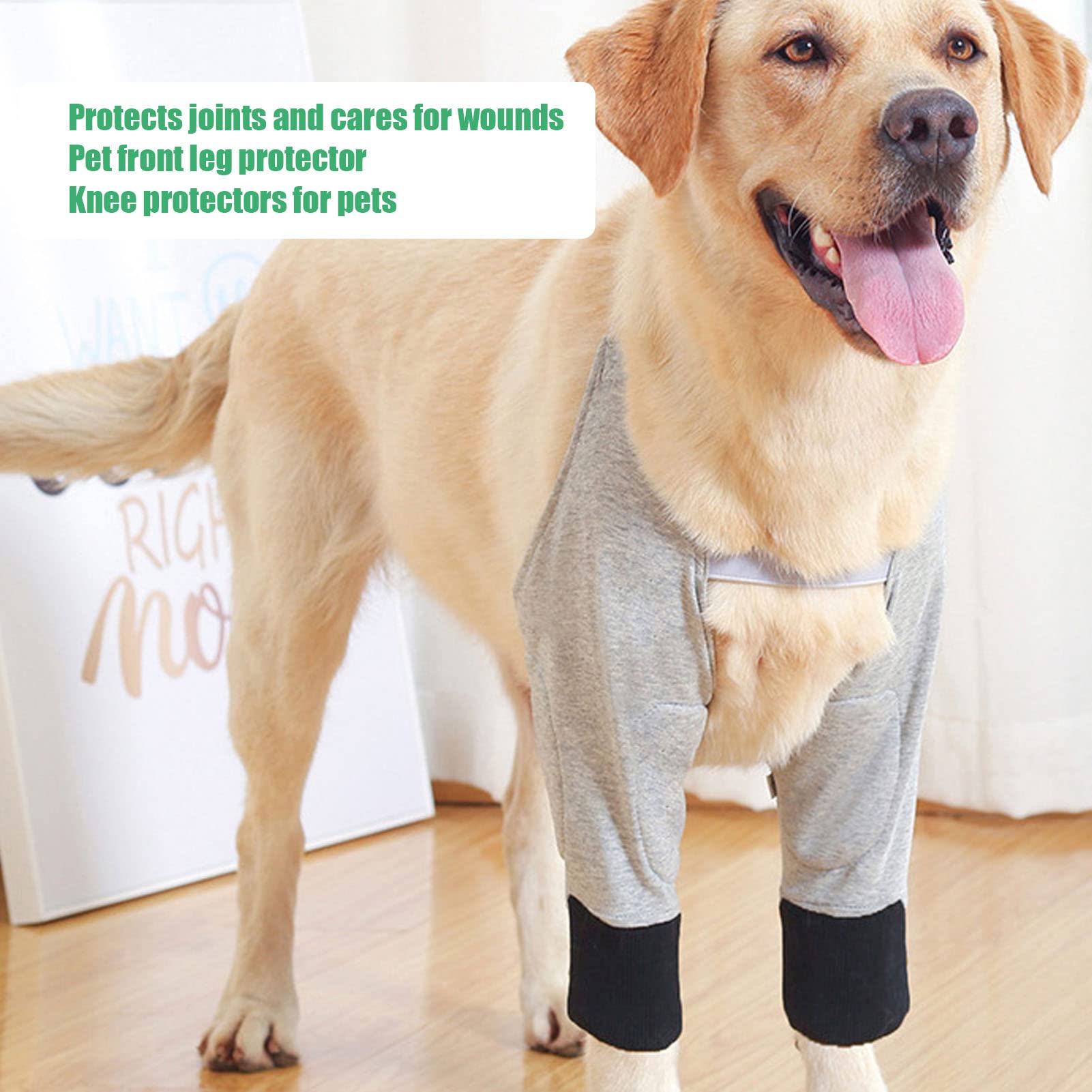 Dog Leg Joint Sleeve, Joint Warming Pet Recovery Sleeve Soft Padded Dog Elbow Protector for Small Medium Large Dogs (L)