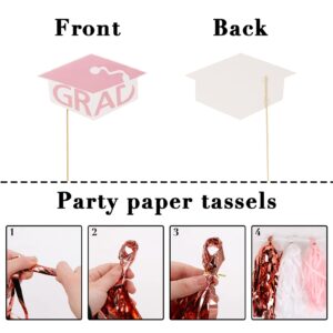 Pawliss 2024 Graduation Decorations Set 95pcs - Includes Pink White Balloons, Graduation Party Photo Props, So Proud of You Banner, Foil Curtain, Tissue Tassels for College High School Party Supplies