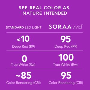 SORAA Vivid BR30 Dimmable 3000K Light Bulb