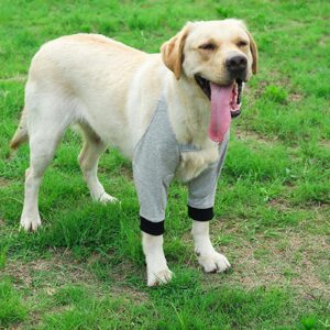 Dog Leg Joint Sleeve, Joint Warming Pet Recovery Sleeve Soft Padded Dog Elbow Protector for Small Medium Large Dogs (XL)