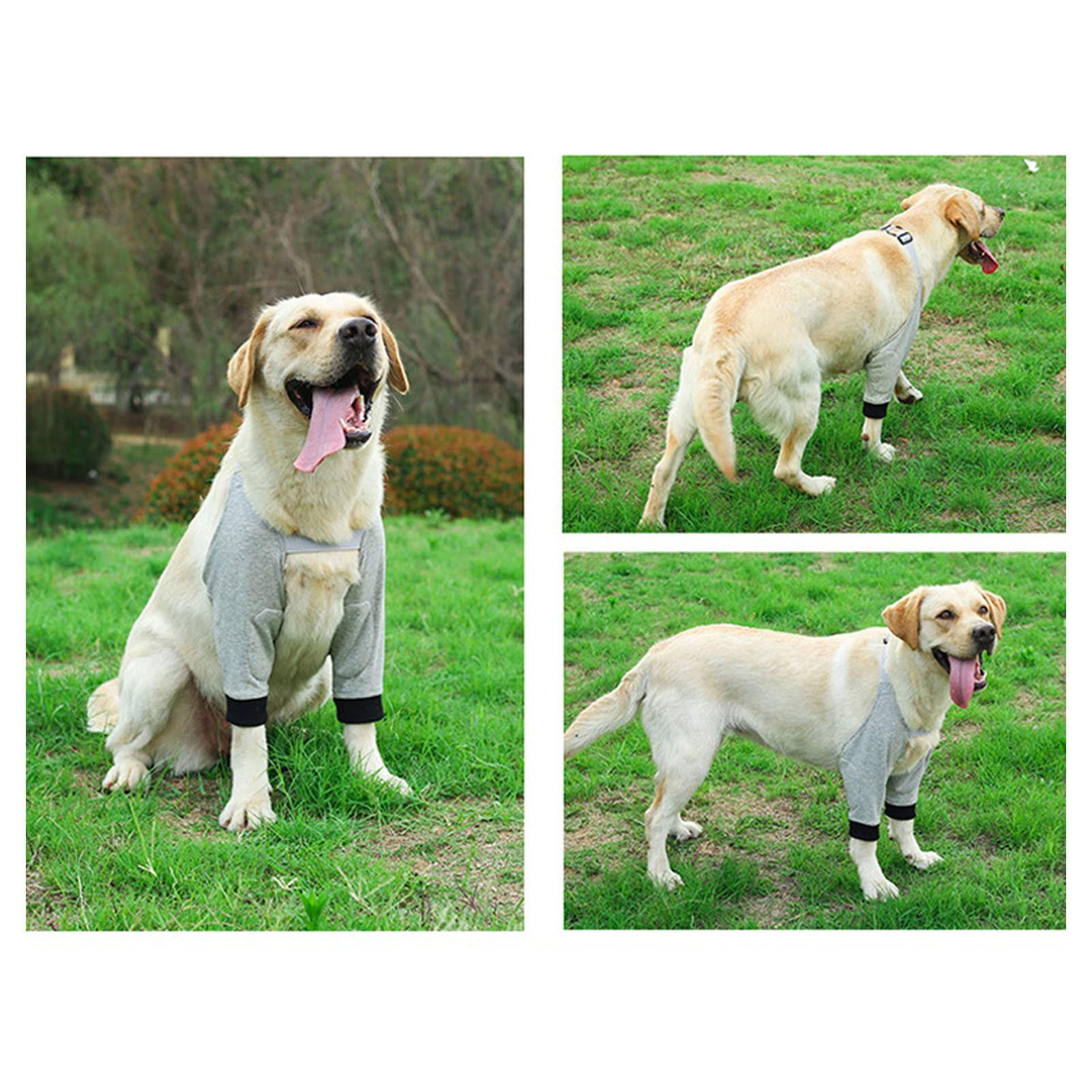 Dog Leg Joint Sleeve, Joint Warming Pet Recovery Sleeve Soft Padded Dog Elbow Protector for Small Medium Large Dogs (L)