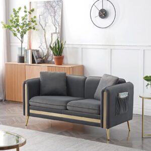 Homtique Modern Velvet Loveseat Sofa, 59 Inch Upholstered Love Seats Furniture Sofa with Side Pocket and 2 Pillows, Gold Metal Legs Decor Small Couches for Living Room/Apartment/Office (Grey)