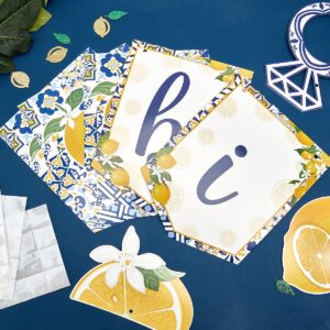 Lemon Bridal Shower Decorations - Yellow and Blue Bride To Be Banner, Lemon and Diamond Ring Garland, Fruit Lemon Theme Bachelorette Party Decorations