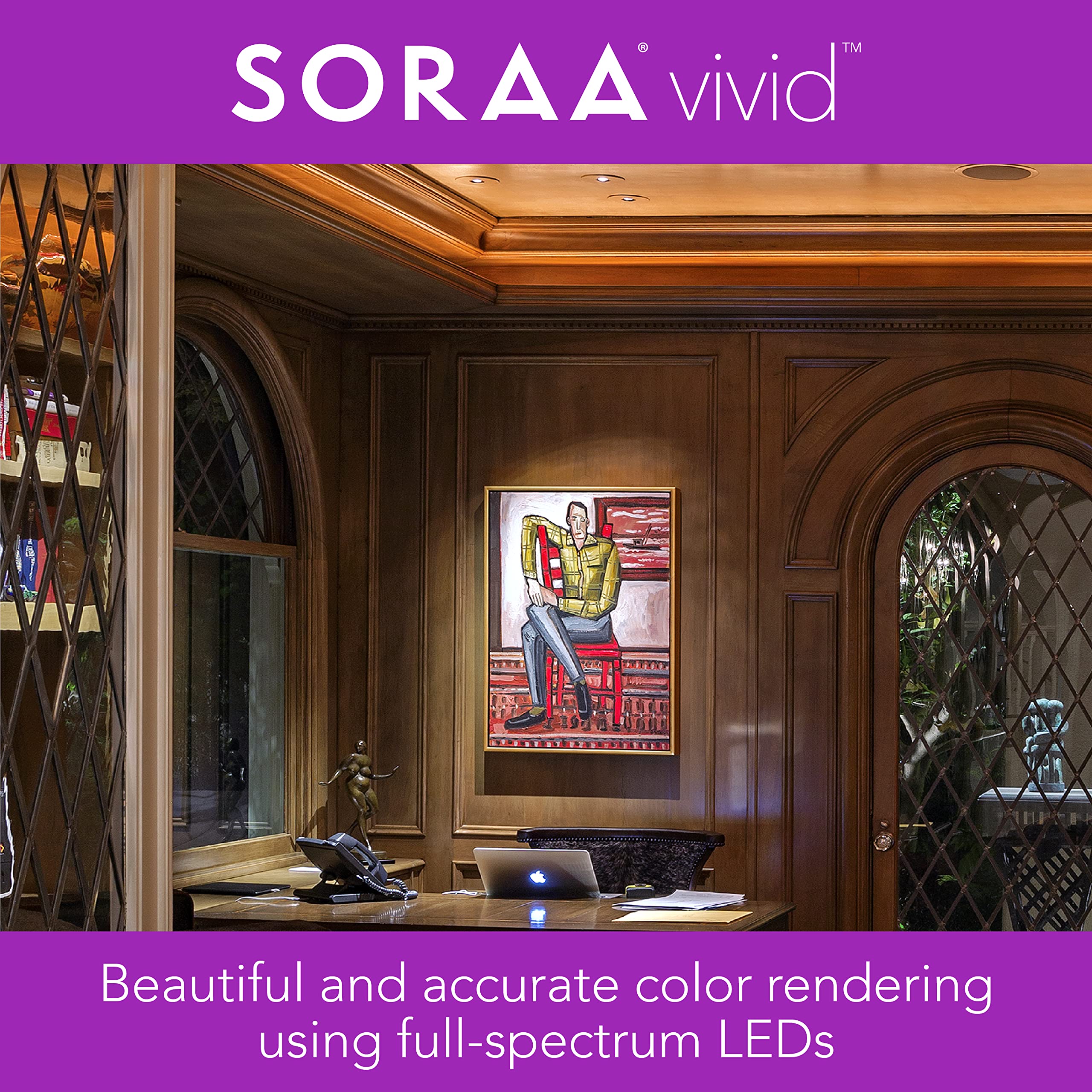 SORAA Vivid BR30 Dimmable 3000K Light Bulb