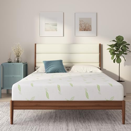 NapQueen Twin XL Size Mattress, 12 Inch Anula Green Tea Infused Memory Foam Mattress, Twin XL Size Mattress Bed in a Box, CertiPUR-US Certified Mattress