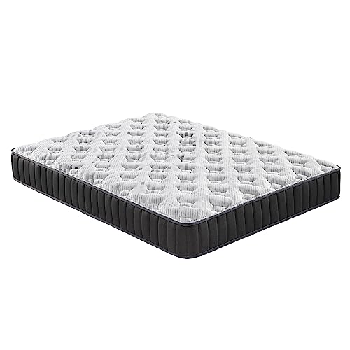 Primo International Dream 11in Tight Top Pocket Coil Mattress, Queen