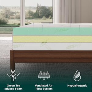 NapQueen Twin XL Size Mattress, 12 Inch Anula Green Tea Infused Memory Foam Mattress, Twin XL Size Mattress Bed in a Box, CertiPUR-US Certified Mattress