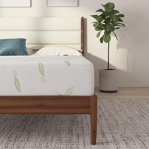 NapQueen King Size Mattress, 6 Inch Anula Green Tea Infused Memory Foam Mattress, King Size Mattress Bed in a Box, CertiPUR-US Certified Mattress