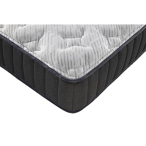 Primo International Dream 11in Tight Top Pocket Coil Mattress, Queen