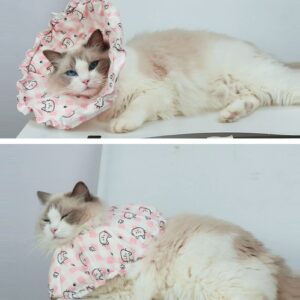 Cat Recovery ,Cat Cone,Cat ,Cone for Cat,Soft Elizabethan for Cats Protective for Dogs and Cats Pet Cone Recovery