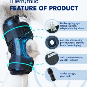 MerryMilo Dog Leg Brace for Rear Hock & Ankle, Canine Hind Leg Joint Compression Wrap for Torn ACL & CCL, Injury and Sprain Protection, Wound Care and Loss of Stability from Arthritis 1 Pair (Size: M)