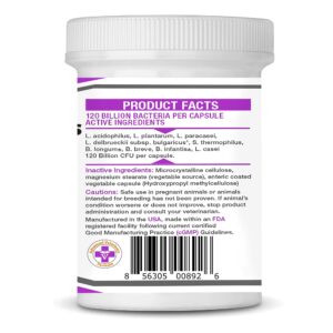 Vetbiome + High Potency Probiotics for Pets (40 Capsules) Made in U.S.A - NO Refrigeration Required !! (40 Caps (1 Pack))