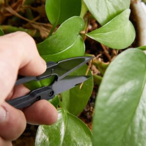 4 Inch Bonsai Pruning Scissors, Bud And Leaves Trimmer Yarn Thread Cutter Snips Trimming Supplies, Gardening Clippers Flower, thread snips, U-shaped sewing scissors, Sewing Scissors (8 Pcs)