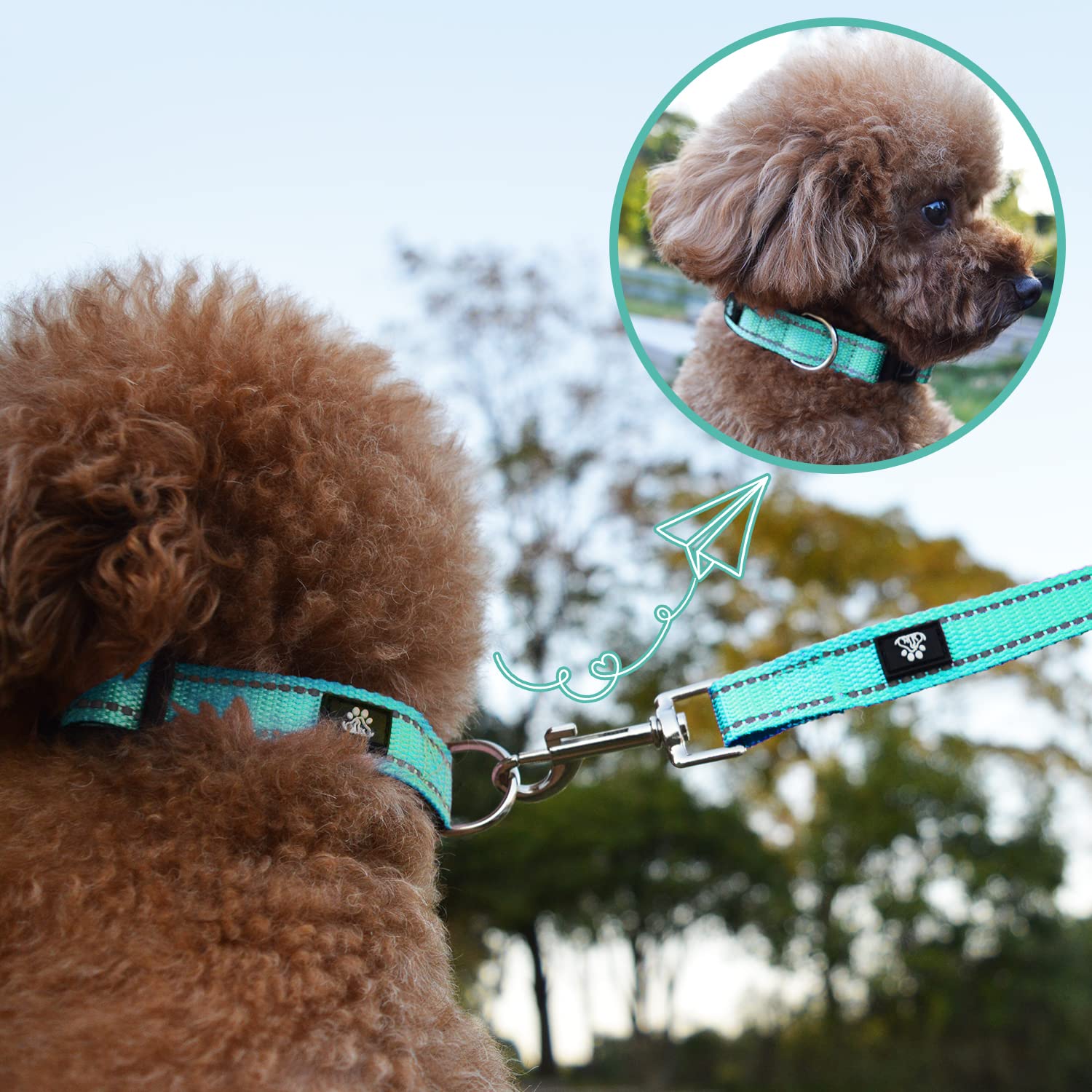 NESTROAD Reflective Dog Collar and Leash Set,Soft Neoprene Pet Collar with Quick Release Buckle,Adjustable Nylon Dog Collars for Small Medium Large Dogs(Medium Collar + 5FT Leash,Teal)