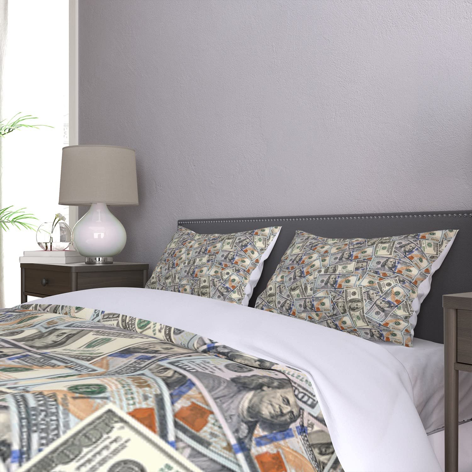 Reateforin 100 Dollar Bill Money Duvet Cover Set, One Hundred Dollar Bills of United States Federal Reserve The Ben Franklin Portrait, Decorative 3 Piece Bedding Set with 2 Pillowcovers,Queen Size