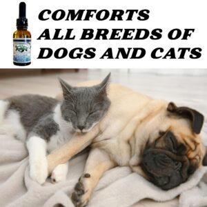 Green Planet Hemp | Free Toy | 1000MG Organic Tincture | Pet Hemp Oil for Dogs and Cats | 100% Natural and Non GMO | Offers your Pet Hip, Joint, and Muscle Support | Aids with Anxiety,Stress, and Pain