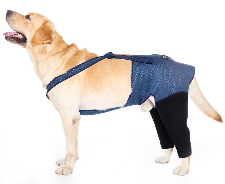 Coodeo Dog Recovery Suit, Cone Collar Alternative, Abrasion Resistant Dog Recovery Rear Sleeves, Washable 2.5mm Thick and Waterproof, Pet Wounds Prevent Licking, Biting (2XL, Blue)