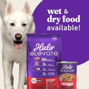 Halo Elevate Dry Dog Food, Healthy Grains Red Meat Recipe, 20lb