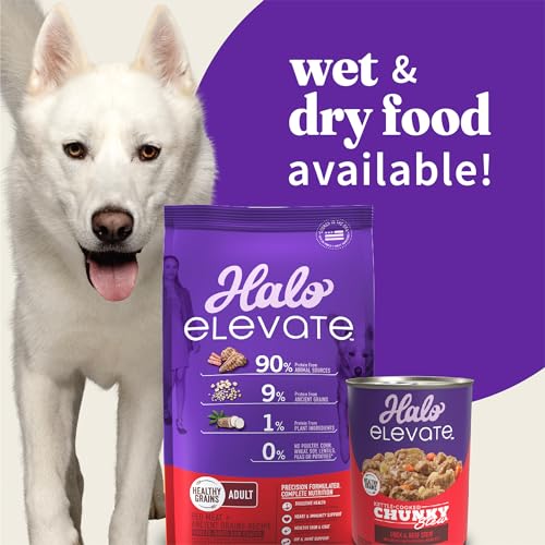 Halo Elevate Dry Dog Food, Healthy Grains Red Meat Recipe, 20lb