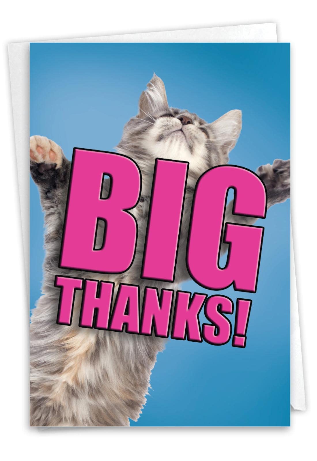 NobleWorks Birthday Thank You Paper Card with 5 x 7 Inch Envelope (1 Card) Cat Big Thanks C2368DTBG