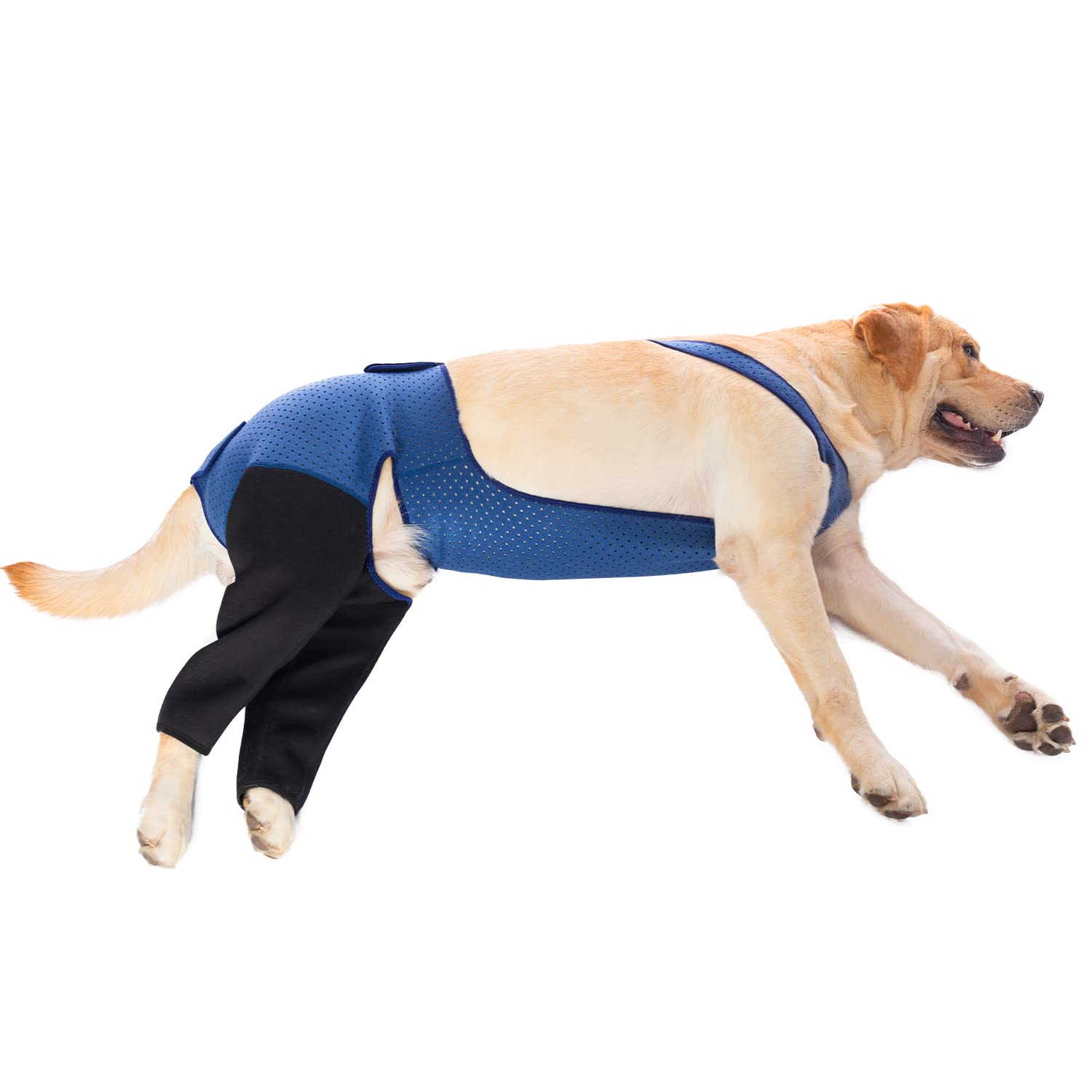 Coodeo Dog Recovery Suit, Cone Collar Alternative, Abrasion Resistant Dog Recovery Rear Sleeves, Washable 2.5mm Thick and Waterproof, Pet Wounds Prevent Licking, Biting (2XL, Blue)